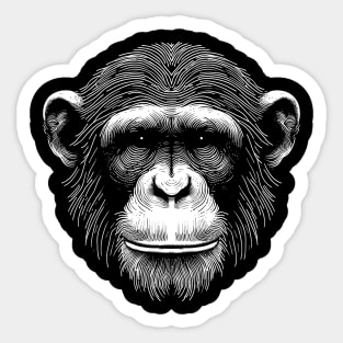 Chimp Out Sketch Sticker